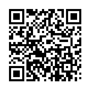 据说是万年来在御兽之道上最有天赋的二维码生成