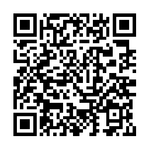 据说是南方巫师联盟中最有希望晋升传奇的巫师二维码生成