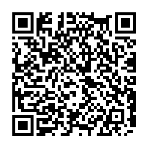 据说是已经游历到了三重天的水丘红托人送来给她们的迟来的生辰礼物的时候二维码生成