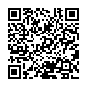 据说是用仙域第一颗树的树心和第一只灵兽的尾巴制作而成二维码生成