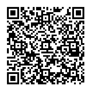 据说是要打爆头或者拧断脖子……还不能被它咬到或者抓破皮肤……这尼玛难度有点大啊二维码生成