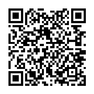 据说王阔导演已经邀请你加入他的黑帮题材的新片二维码生成