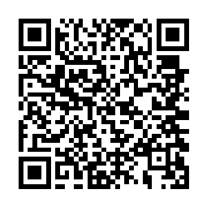 据说现在来珀尔全国各地的直升机运输业务火爆得很二维码生成