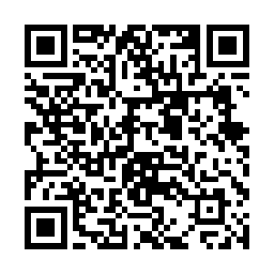 据说组织的忍者部分这次擅自行动也和这个遗迹有关二维码生成