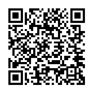 据说路易一世在最后一战之前曾经和他们达成过一笔巨额交易二维码生成