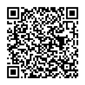 据说身后那两个交叉的罗扇或者叫做什么名字的东西都带有防御功能二维码生成