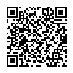 据说这个地下世界以前就是一些地下生物的聚集地二维码生成