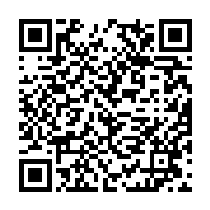 据说这个飞天明月是很早就跟天狼殿殿主混的人了二维码生成