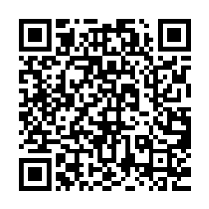 据说这人身体里拥有来自白熊国最尊贵的一个战斗民族的基因二维码生成