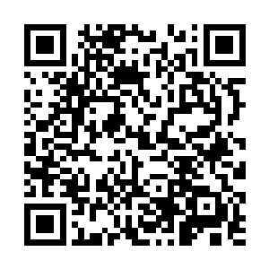 据说这家食府的厨师和很多食材是从上层大陆运来的二维码生成