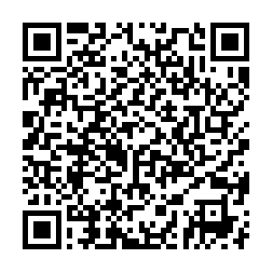 据说这里的螃蟹和龙虾都是从爱德华王子岛和新斯科金省空运来的二维码生成