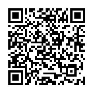 据说连扫地煮饭的小沙弥都有堪比固元境界修真者的修为二维码生成
