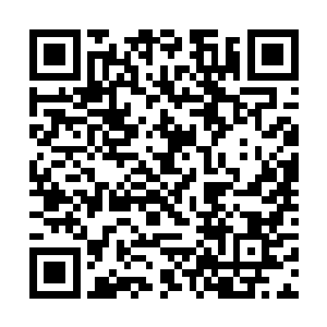 据说那只混沌兽的实力已经超越了圣级九层后期巅峰二维码生成