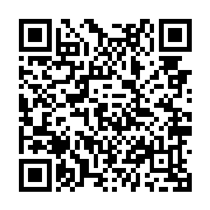 据说那水龙宫的水龙至尊已经达到史诗战尊的极限二维码生成