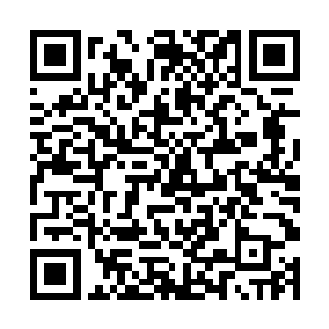 据这些蛇族妖女当中有一些是蕴含比较多龙的血脉的二维码生成