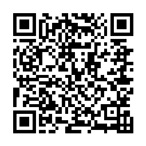 据闻已有仙人提交开放各嫡系道书议案……我奉命改革信风二维码生成