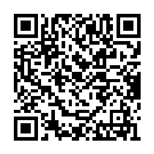 掀起一浪高过一浪的影迷热捧才是他的拿手好戏二维码生成