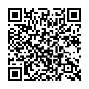 掀起更大的水波把那几个小毛头给浇得哇哇大叫二维码生成