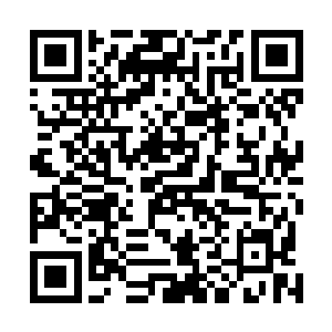 掉落到地上的兔子和猪竟然便被大家全部重新弄到了车上二维码生成