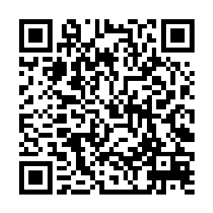 掌教师尊只是短短一两个月便造就出了三十五名天仙二维码生成