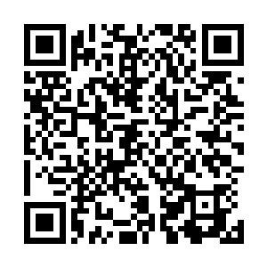 掌权的人却利用着这样一个机会打着这样一场无意义的战争二维码生成