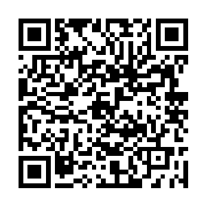 掌柜一脸的搓着一双手看着洛悠悠手里的一堆盒子二维码生成