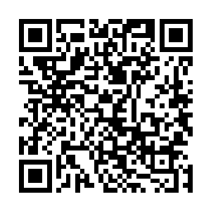 掌珠只是千万本里丝毫不起眼的一本罢了…选择总是艰难的二维码生成