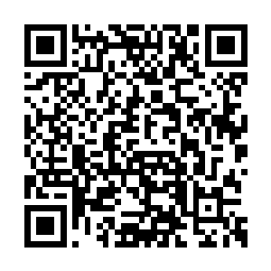 掌门她们肯定会为了你破了不收男弟子的规矩的二维码生成