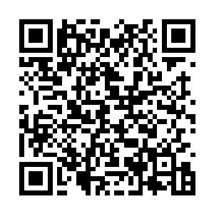 掏出手机坐在客厅的沙发上给林若烟发了一条短信二维码生成