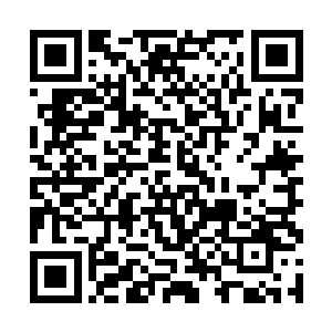 掏出手机来查找号码――他现在还不是什么成功导演二维码生成