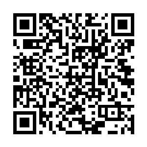 掐动法决大波的血腥带着冤魂的嚎叫声涌向流墨墨二维码生成