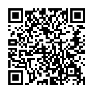 排在秋山君和徐有容之下的那些最具天赋的少年行列中二维码生成