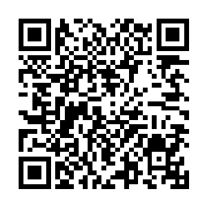 排山倒海般的力量猛然间朝金睛玉雪卷毛狮子鼻子砸去二维码生成