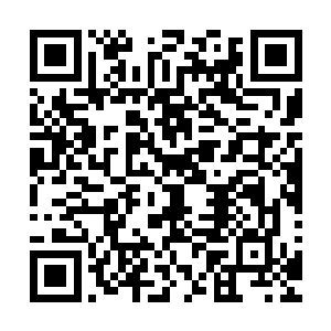 排除对方为战斗机器人的可能……内部零件呈现严重磨损……二维码生成