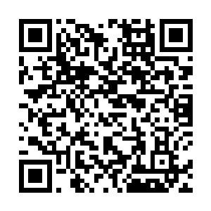 探出了一根细细的根系试探的扎入了前方的幽蓝泥土中二维码生成