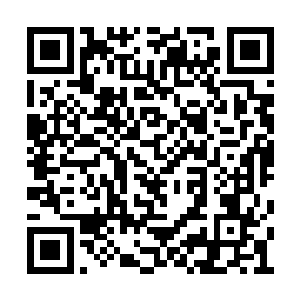 探查的结果是普智的真气强度是返虚初期的样子二维码生成