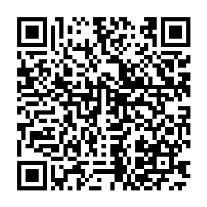 探着头四下张望――跑到mafia的大本营来观光也算是人生难得一次的经历了二维码生成
