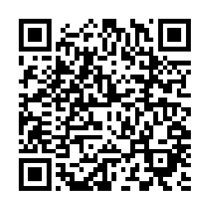 探究目光一直望着我且其探究目光尤其多逗留在我的双手处二维码生成