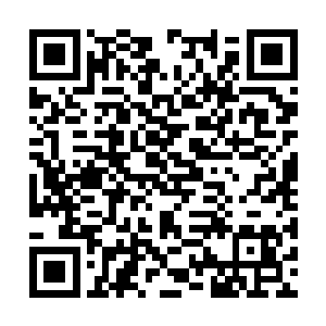 探花郎如同传统是所有高中的人中相貌最好的一个二维码生成