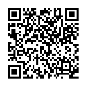 接下去可以接替职务的军官们也都被突如其来的袭击打晕了脑袋二维码生成