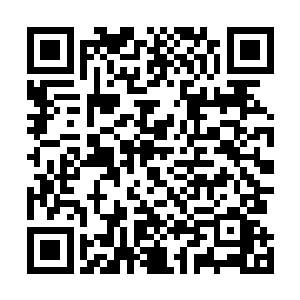 接下来一天时间里雨果每场戏拍摄结束时都会端着一杯酒二维码生成