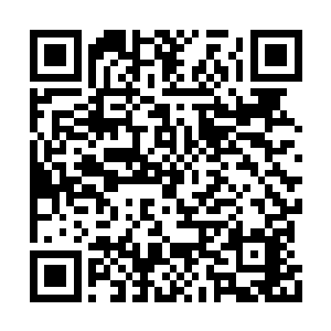 接下来一道菜更是让三人领略了什么是中国美食二维码生成