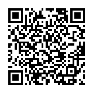 接下来冬寿去修剪那些比他这条命要值钱太多的一株株花草二维码生成