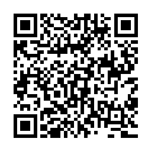 接下来几天内会发生的所有事情都因华纳兄弟的无知无度而起二维码生成