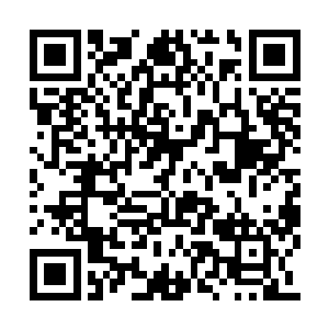 接下来只要找到月银狼王崽子就可以离开这里了二维码生成