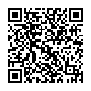 接下来叶枫也问了他一些关于凤舞的重建进度之类的事二维码生成