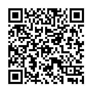 接下来将近一年的时间龙傲天都要在闭关之中度过二维码生成