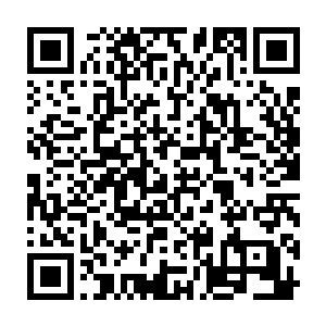 接下来就应该按照步骤分批将这些灵草精粹放入到药鼎当中开始进一步的炼制了二维码生成