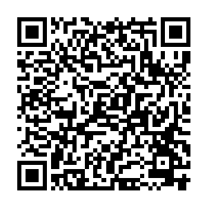 接下来就是万树武神之前留下的那三个能指引人来到万树秘境的线索二维码生成