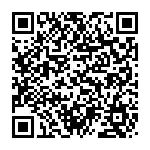 接下来就是地方政府的一系列前期准备工作和项目招投标准备工作二维码生成